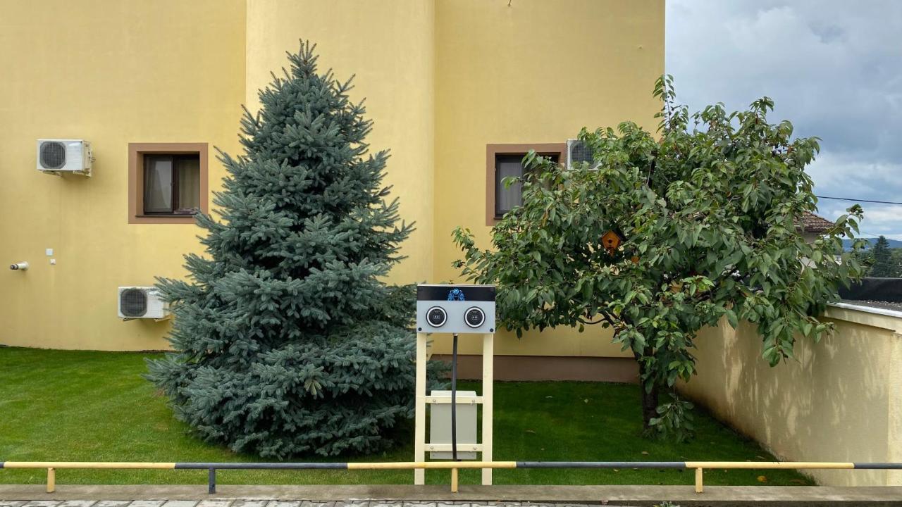 Pensiunea Imperial Târgu-Mureş Exterior foto